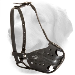 Golden Retriever Dog Leather Muzzle Attack Training