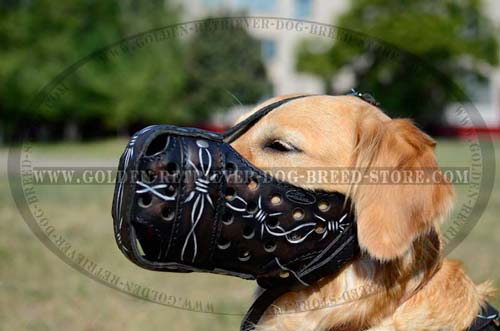 Golden Retriever Decorated Leather Muzzle
