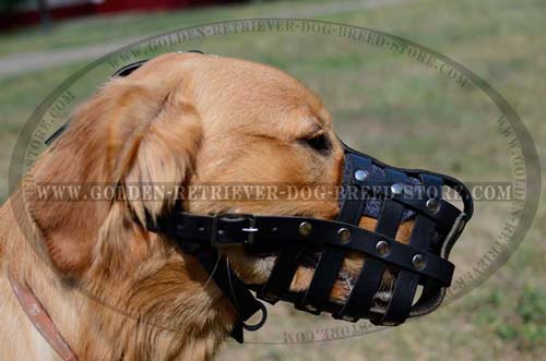 Practical Leather Muzzle for Active Dogs