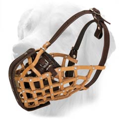 Tan Leather Muzzle with Adjustable Straps