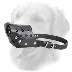 Easily Adjustable Golden Retriever Muzzle 