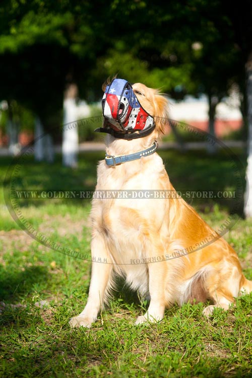 Patriotic Design Leather Golden Retriever Muzzle 