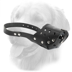 Leather Golden Retriever Muzzle for Daily Walking