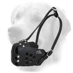 Golden Retriever Muzzle with Perfect Air Flow