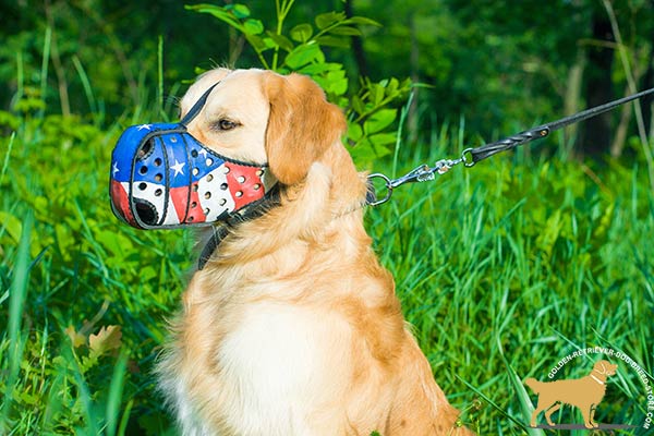 Handmade Leather Golden Retriever Muzzle with Adjustable Straps