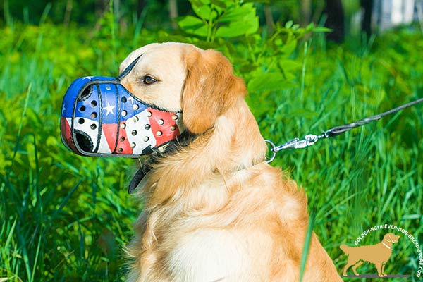 American Design Leather Golden Retriever Muzzle