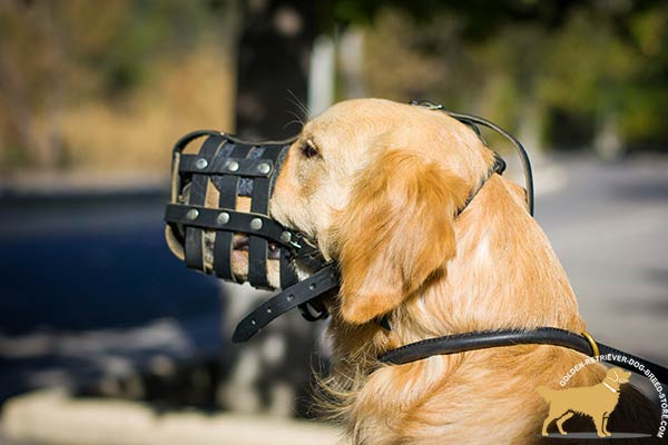 Leather Golden Retriever Basket Muzzle with Great Ventilation