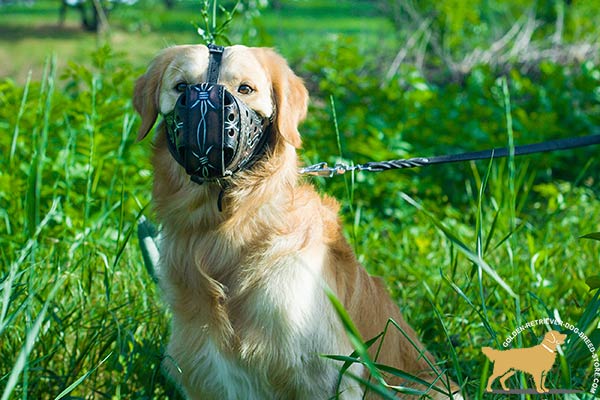 Padded Inside Leather Golden Retriever Muzzle with Original Painting