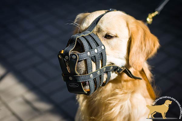 Handcrafted Leather Dog Muzzle with Padding on Nose