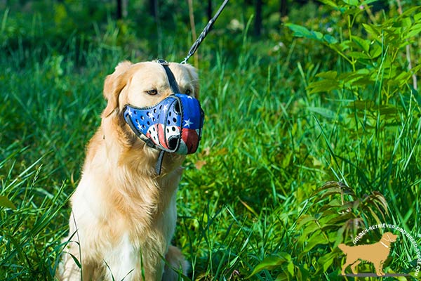 Handpainted Leather Dog Muzzle with Holes for Circulation