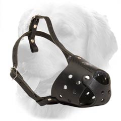 Golden Retriever Black Strong Leather Muzzle