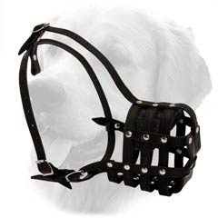 Everyday Muzzle For GOlden Retirever