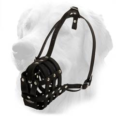 Black Everyday Muzzle