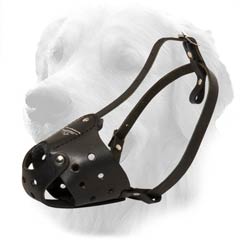 Golden Retriever Strong Leather Muzzle