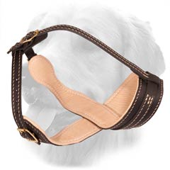 Leather Muzzle For Golden Retriever