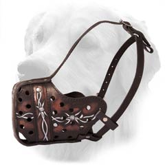 Muzzle For Fun Golden Retrievers