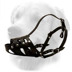 Black Durable Golden Retriever Muzzle