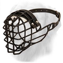 Golden Retriever Rubber Covered Cage Muzzle