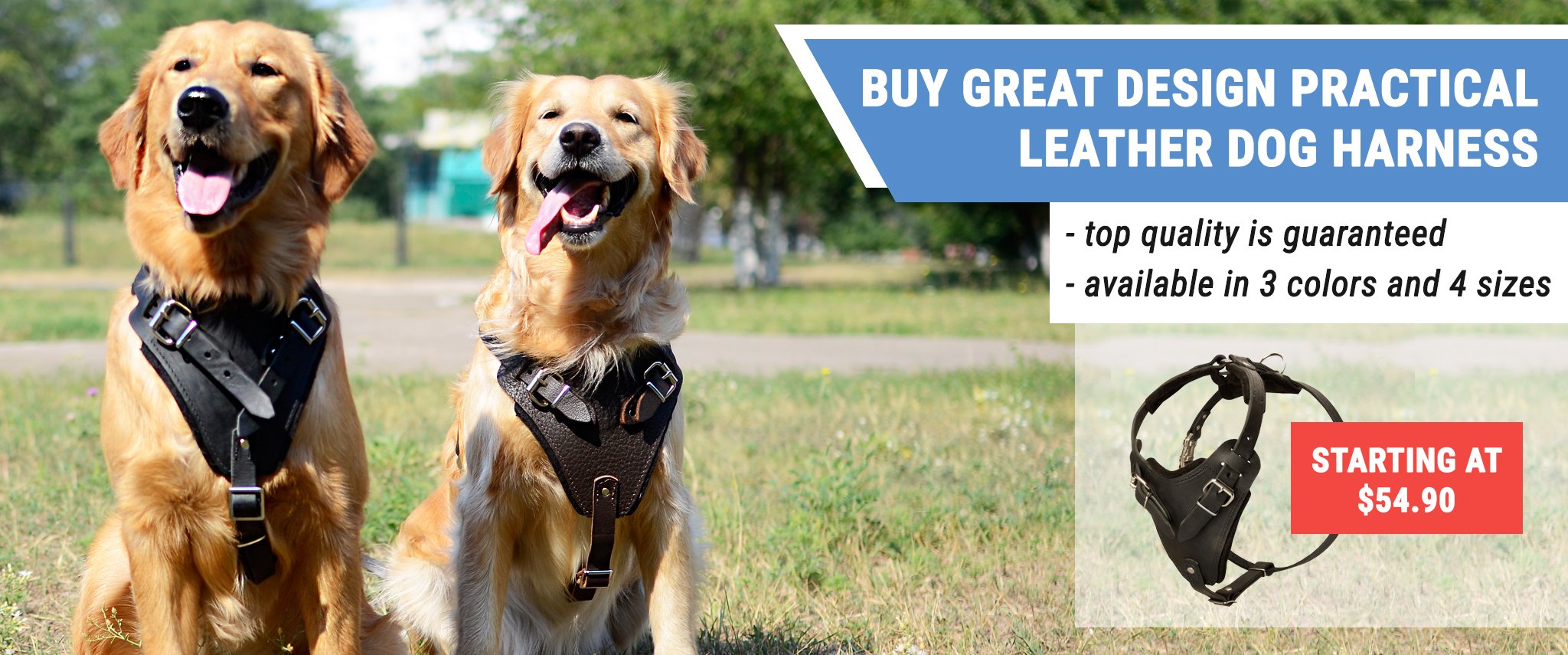 Golden Retriever harness, Golden Retriever muzzle, Golden Retriever